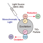 figure Diagram